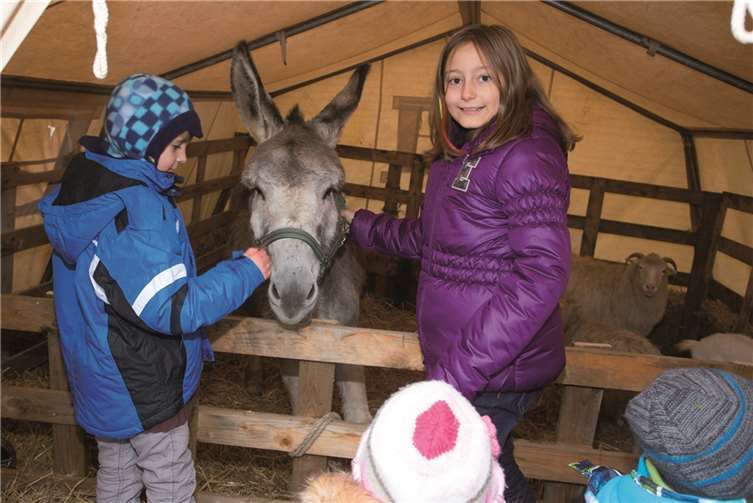 Die lebende Krippe war der Renner bei den Kindern. Esel Otto ließ sich ganz geduldig streicheln.