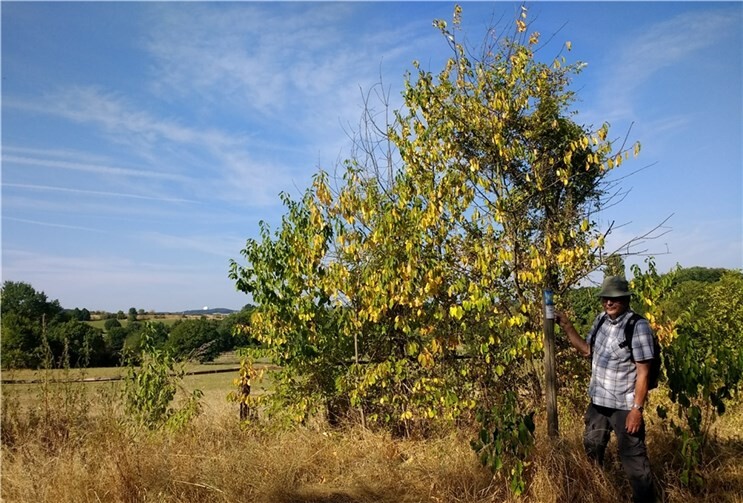 Die letzte Markierung wurde angebracht.  Foto: privat