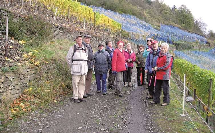Die letzte Wanderung führte die Gruppe durch die Weinberge an der Ahr. privat