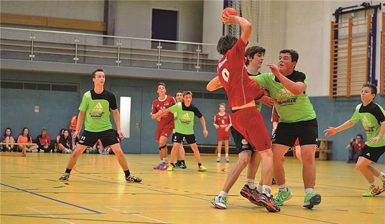 Die männliche C1-Jugend aus Puderbach gehört zu den zehn stärksten in Rheinland-Pfalz.privat
