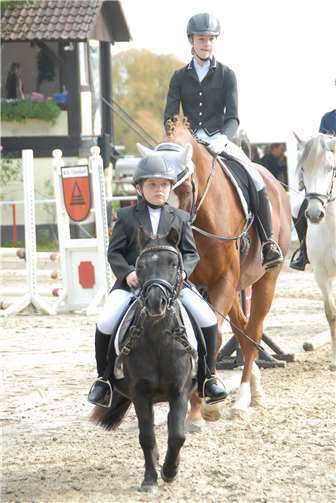 Die meisten Teilnehmer kamen aus Vereinen und von Reitanlagen aus der näheren Umgebung.