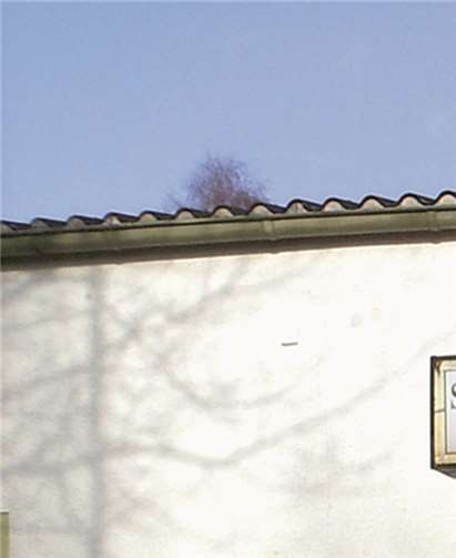Die nächste Frühjahrsversammlung findet in der Schützenhalle Niedermendig statt. privat