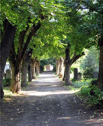 Die nächste Führung ist am 2. September. Foto: Stadtverwaltung