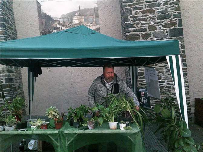 Die nächste „Pflanzentauschbörse“ ist am Samstag, 23. April, 9 bis 12 Uhr, am Funkenbrunnen in der Oberen Wallstraße. Foto: Stadtverwaltung Andernach/Maurer