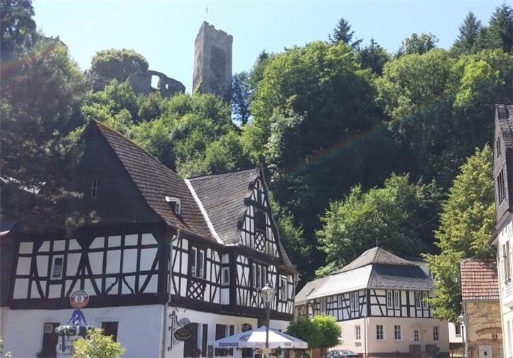 Die nächste Wanderung verläuft durch das Brexbachtal rund um Grenzau. Foto: privat