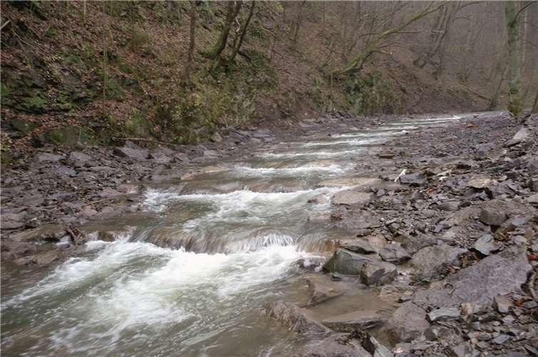 Die neue Blocksteinrampe wird zu einer weiteren wesentlichen Verbesserung der Gewässerflora und -fauna der Nette beitragen. privat