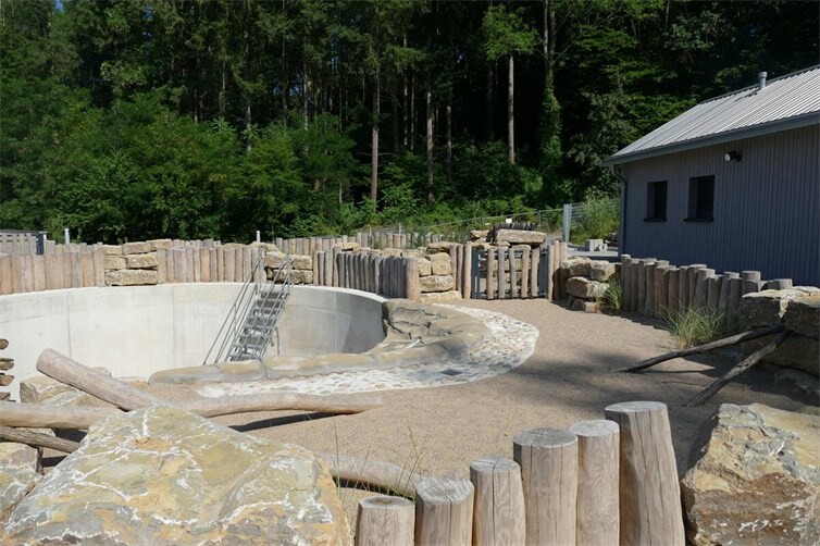 Die neue Seehundanlage im Zoo Neuwied nimmt Gestalt an. Bei den Baustellen-Führungen erfahren Besucher mehr über den aktuellen Baufortschritt und die noch ausstehenden Arbeiten.