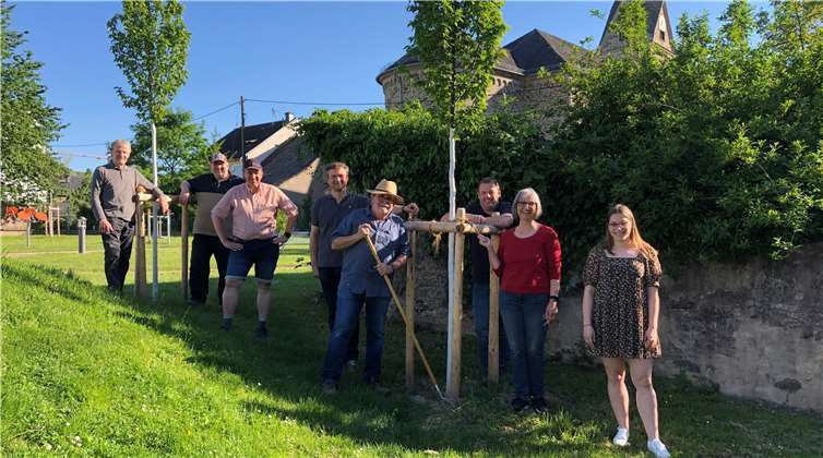 Die neuen Bäumchen sind sehr gut angewachsen. Foto: privat