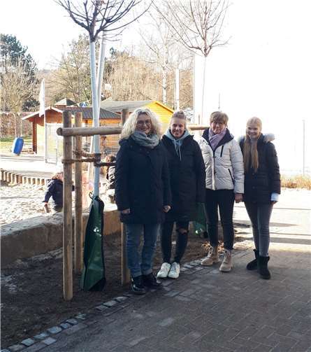 Die neuen Bäume spenden einerseits Schatten für das Außengelände aber verschatten auch die Fenster der angrenzenden Räume, die am stärksten von der Sonneneinstrahlung betroffen sind. Quelle: Stadt Remagen