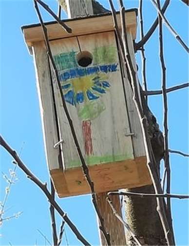 Die neuen Brutkästen wurden in den Apfelbäumen aufgehängt.