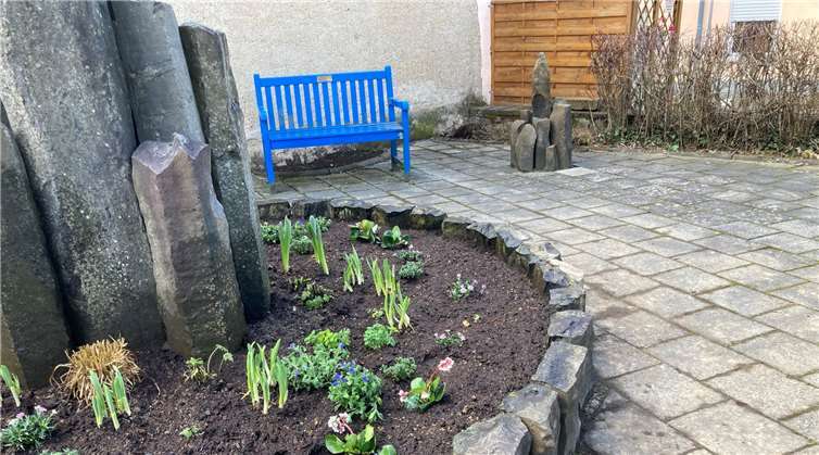 Die neuen Pflanzen im ehemaligen Brunnen.