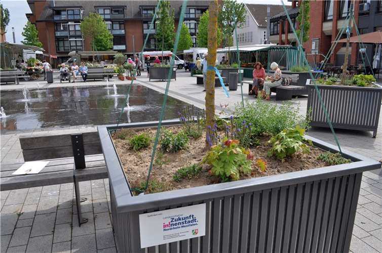 Die neuen Pflanzkübel suchen gärtnernde Patinnen und Paten. Foto: Stadt Meckenheim
