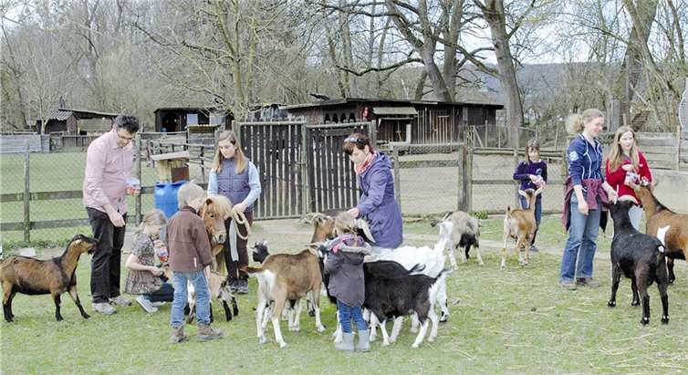 Die neuen Tierpaten des Schwanenteichs waren zum „Ziegen füttern“ gekommen.BL