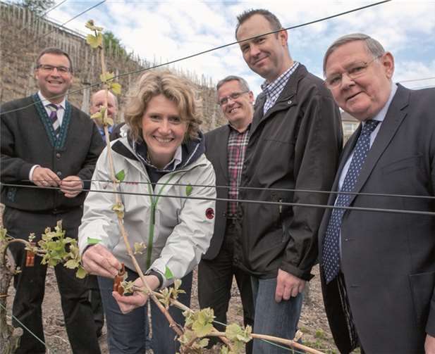 Die rheinland-pfälzische Wirtschaftsministerin Eveline Lemke zeigte sich regelrecht begeistert über die Initiative der Ahrtaler Winzer, als erste Weinbauregion in Deutschland komplett auf Pheromone zu setzen. JOST