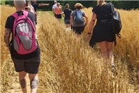 Naturgenuss-Wanderung rund um Linz am Rhein mit regionalen Spezialitäten und Ausblicken