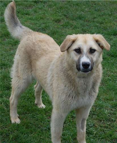 Die schöne Leila.Privat