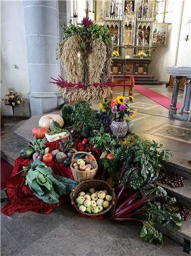 Die schönsten Erzeugnisse aus ihren Gärten hatten die Mitglieder des Plaidter Gartenbauvereins zum Erntedank vor dem Altar von St. Willibrord aufgebaut. Foto: privat