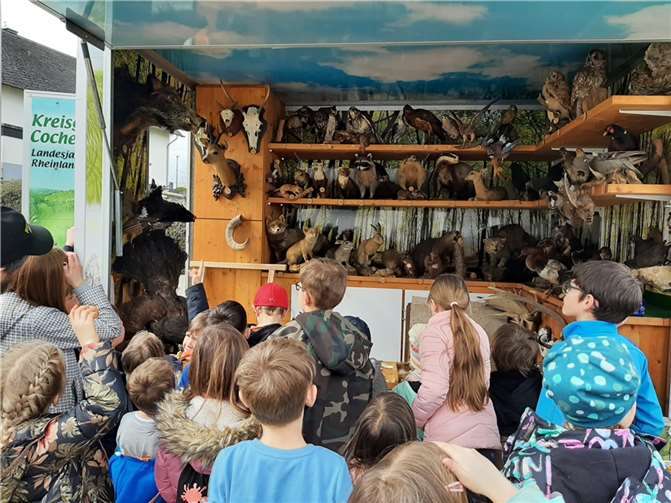Die schon bekannten aber auch andere Feld- und Waldbewohner konnten jetzt ganz aus der Nähe von den mehr als 50 Mädchen und Jungen betrachtet und sogar angefasst werden. Foto: privat