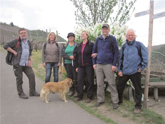 Die sieben Wanderinnen und Wanderer genossen die herrlichen Aussichten von „Fischley“, „Bunter Kuh“ und „Burg Are“.privat