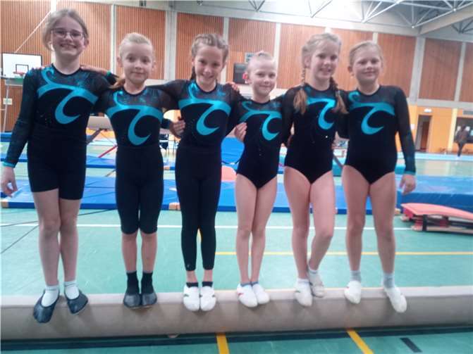 Die siegreichen „Minis“: Anne, Lilli, Lola, Mia, Ella, Magdalena.Foto: privat