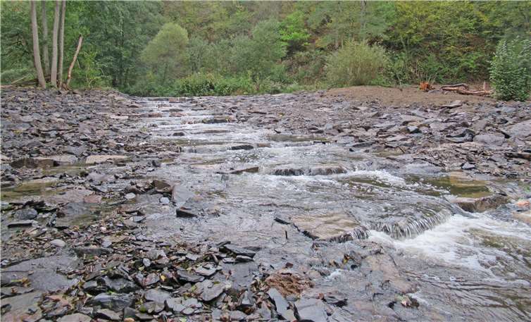 Die sogenannte Sohlengleite bietet nun die Möglichkeit für einen sanften Auf- und Abstieg. Fotos: Ingenieurbüro Gebler