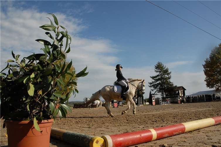 Die sommerlichen Temperaturen des „goldenen Oktobers“ sorgten zusätzlich für den angenehmen Aufenthalt.