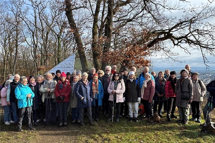 Die spätherbstliche Sonne begleitete die Wanderer, als der Weg über die Höhen des schönen Mayener Stadtwaldes führte.Foto: privat