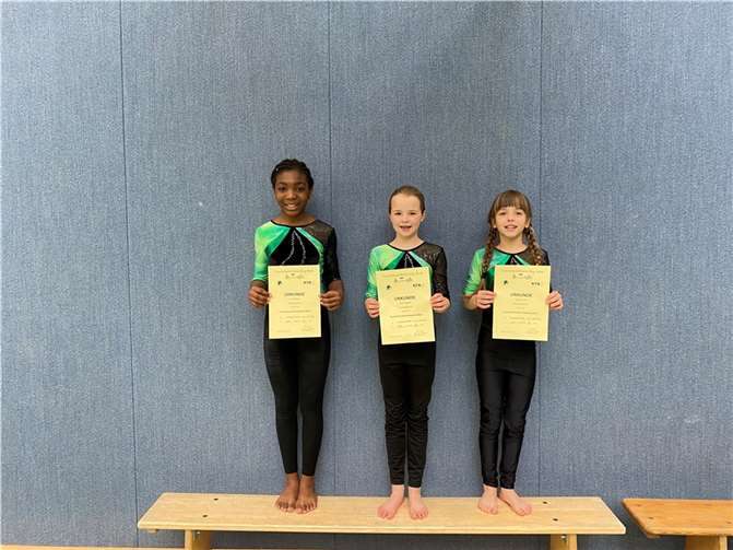 Die stolzen Turnerinnen mit ihren Urkunden.  Foto: MSV