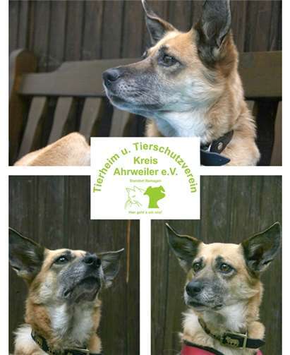 Die süße Cora.Privat