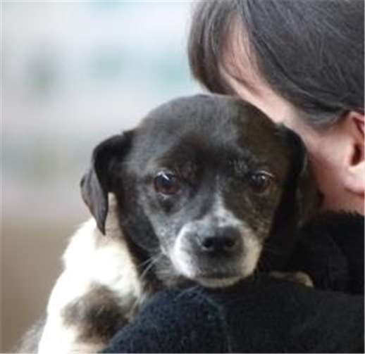 Die süße Snoopy. privat