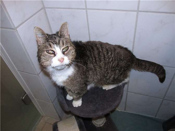 Die tapfere Tara. Foto: privat