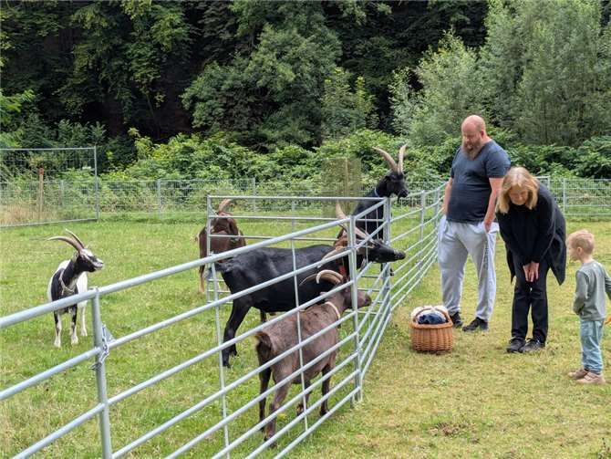 Sommerfest am Schwanenteich feiert gelungenes Comeback Die tierischen Bewohner des Schwanenteichs standen im Mittelpunkt.