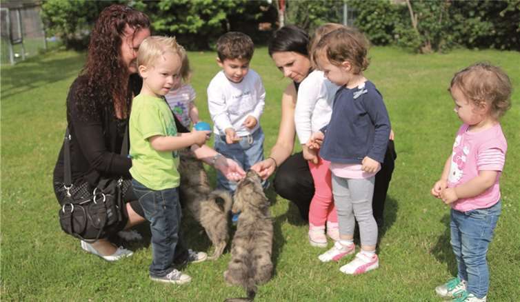Die tierischen Bewohner nahmen die Streicheleinheiten der Kinder dankend an.privat