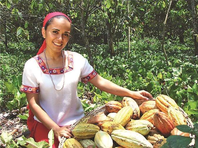 Die tropischen Regenwälder Amerikas gelten als die Heimat des Kakaos.Fair Trade