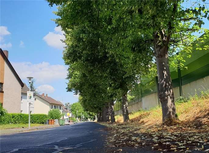 Die veraltete Straßenbeleuchtung in der Siebengebirgsstraße wird im Rahmen des neuen Beleuchtungskonzepts der Stadt Unkel durch dimmbare LED-Leuchten ersetzt werden. Foto: Dani Niemeyer.