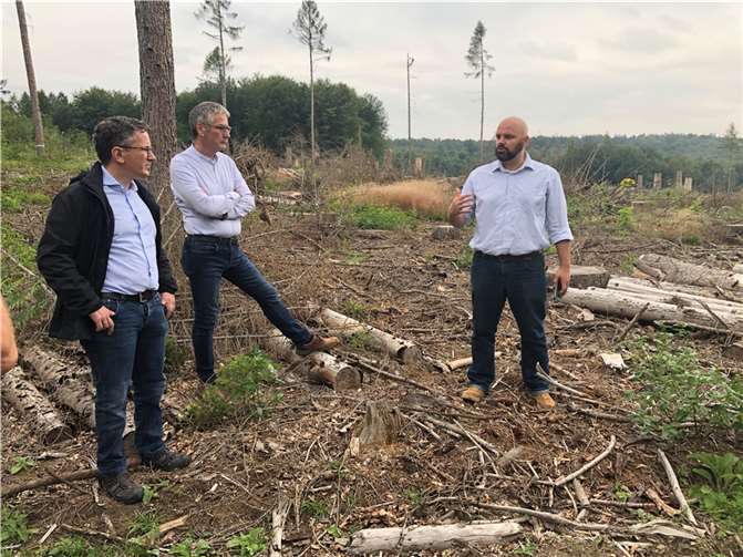 Die verheerenden Auswirkungen im Lahnsteiner Stadtwald.Quelle: SPD Lahnstein