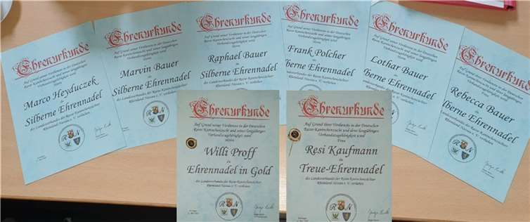 Die verliehenen Ehrenurkunden. Foto: privat