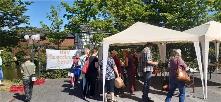 Die verschiedenen Pflanzen werden getauscht und verschenkt. Foto: Heimat- und Verschönerungsverein Buschhoven (HVV)