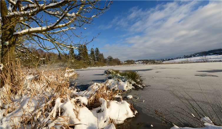Die verzauberte Winterlandschaft am Biberweiher in Freilingen. Quelle: Harry Neumann (NI)