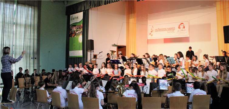 Die vier Blasorchester der Schule begeisterten ihr Publikum mit ihren Darbietungen.Foto: privat