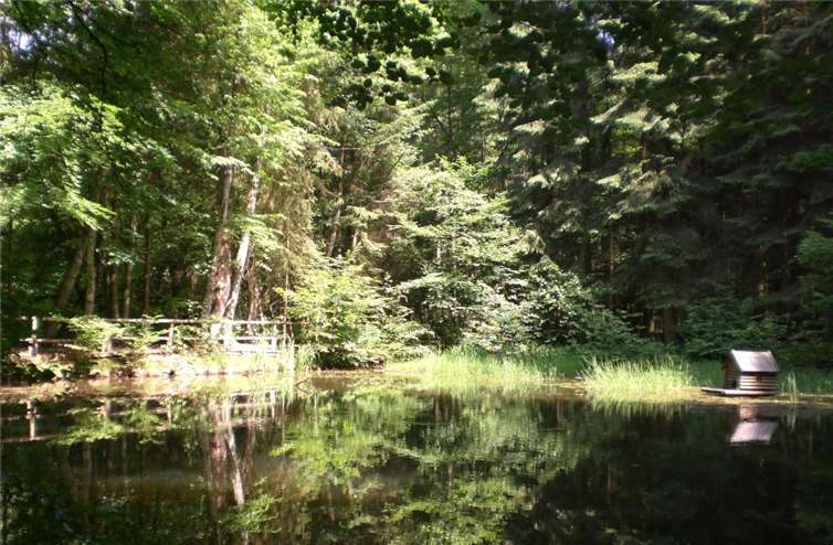 Die vierte Juli-Wanderung führt nach Hilgert.Foto: privat