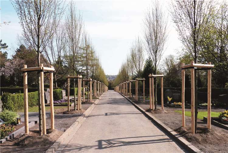 Die vom Haupteingang bis zur Kapelle führende Allee verleiht dem Niedermendiger Friedhof ein parkähnliches Ambiente. Fotos: FRE