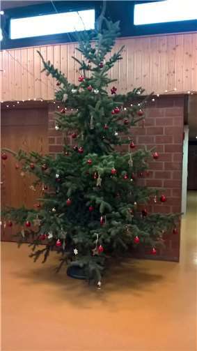 Die von Werner Düren gespendete Tanne schmückt die Eingangshalle der Kindertagesstätte St. Hildegard. Foto: privat