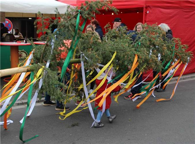 Die von den Kindern mit Bändern geschmückte Krone des Maibaumes.