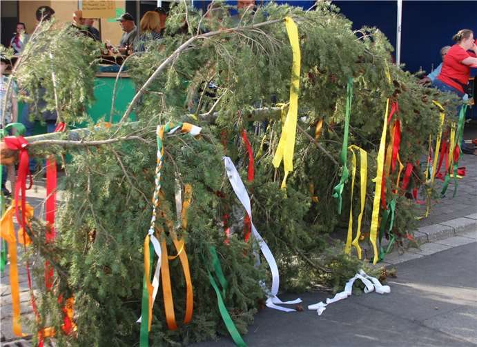 Die von den Kindern mit Bändern geschmückte Krone des Maibaumes.