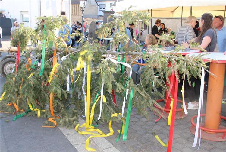 Die von den Kindern mit Bändern geschmückte Krone des Maibaumes.