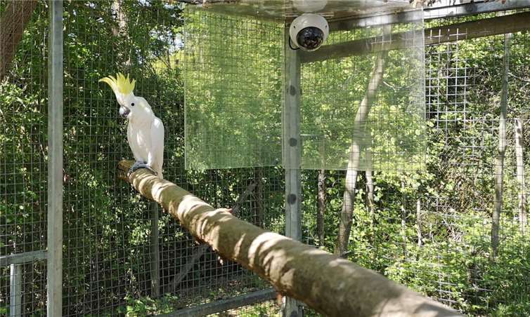 „Die wertvollen Tierbestände und Datenbanken der Zoos sind von großer Bedeutung für den wissenschaftlichen Kenntnisstand“, sagt Kögler.Foto: Zooschule