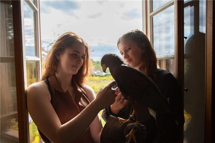 Die zahmen Vögel des Falkners sind es gewohnt, von Kindern und Jugendlichen bewundert zu werden.