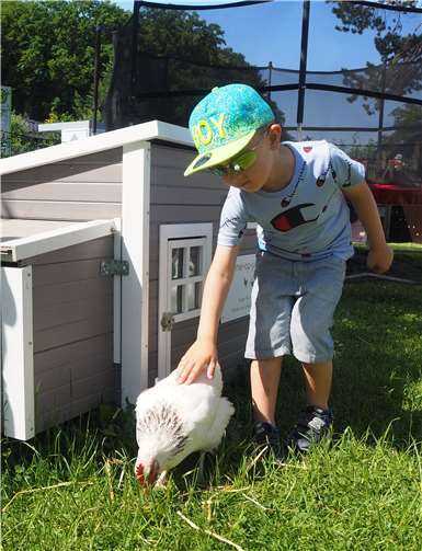 Die zutraulichen Hühner ließen sich von den Kindern sogar streicheln. Foto: Stadt Meckenheim