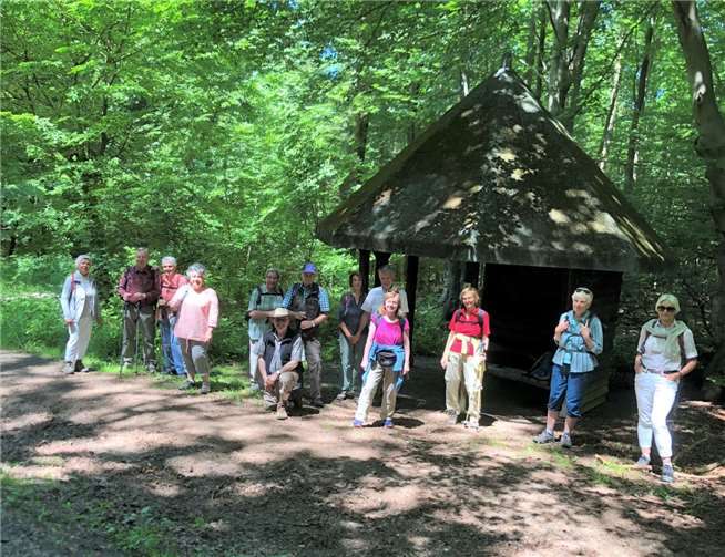 Die zweite Wanderung führte rund neun Kilometer von Bandorf aus überwiegend durch schattige Wälder.